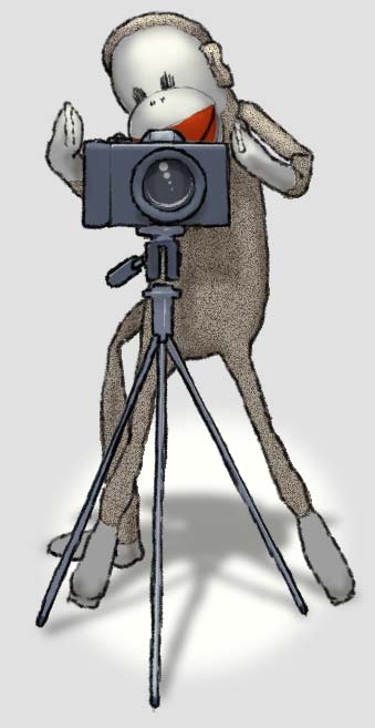 Cartoon drawing of a sock monkey using a camera.