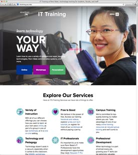 I T training web page.