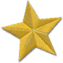 A regulation gold star badge.