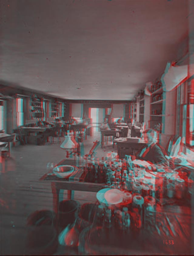 Stereoscopic photograph of unidentified men at work in the laboratory of the United States Fish Commission research station in Woods Hole, Massachusetts, circa 1880
