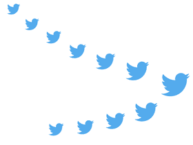 A flock of twitter birds