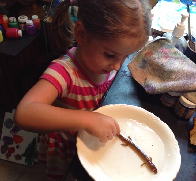 Child with salamander in a bowl.
